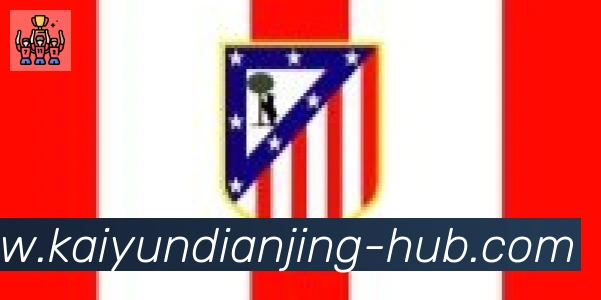 开云电竞合作伙伴